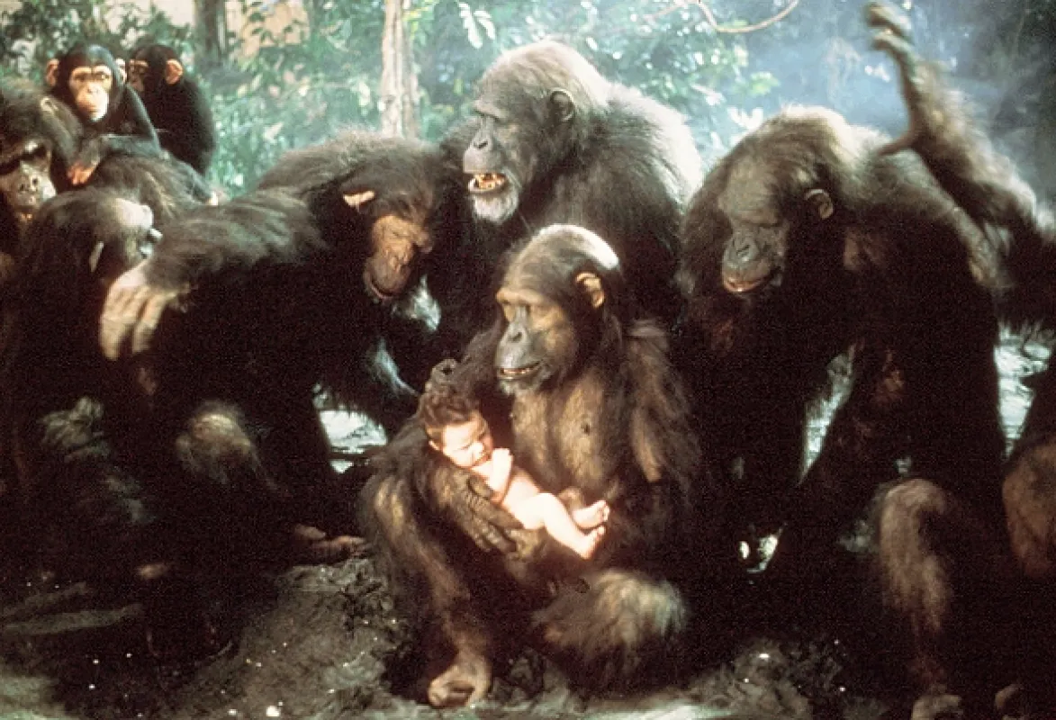Tarzan (Greystoke: The Legend of Tarzan, Lord of the Apes), 1984 - fotogaléria
