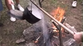 Hľadanie ľalie