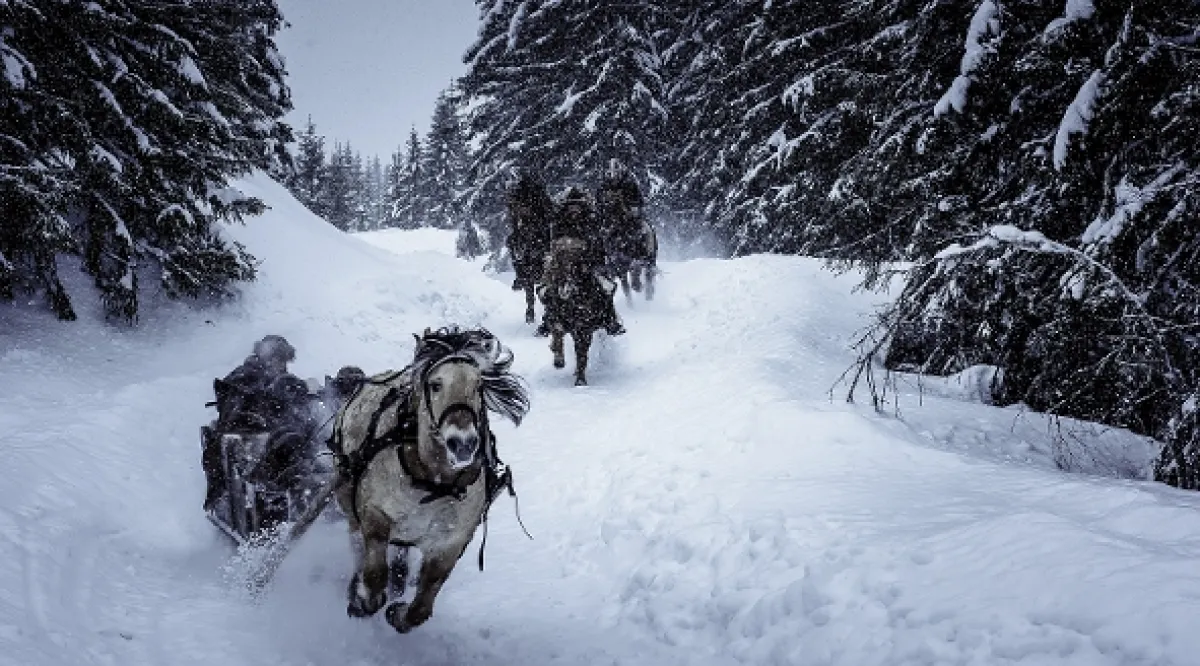 Poslední král (Birkebeinerne), 2015 - fotogaléria