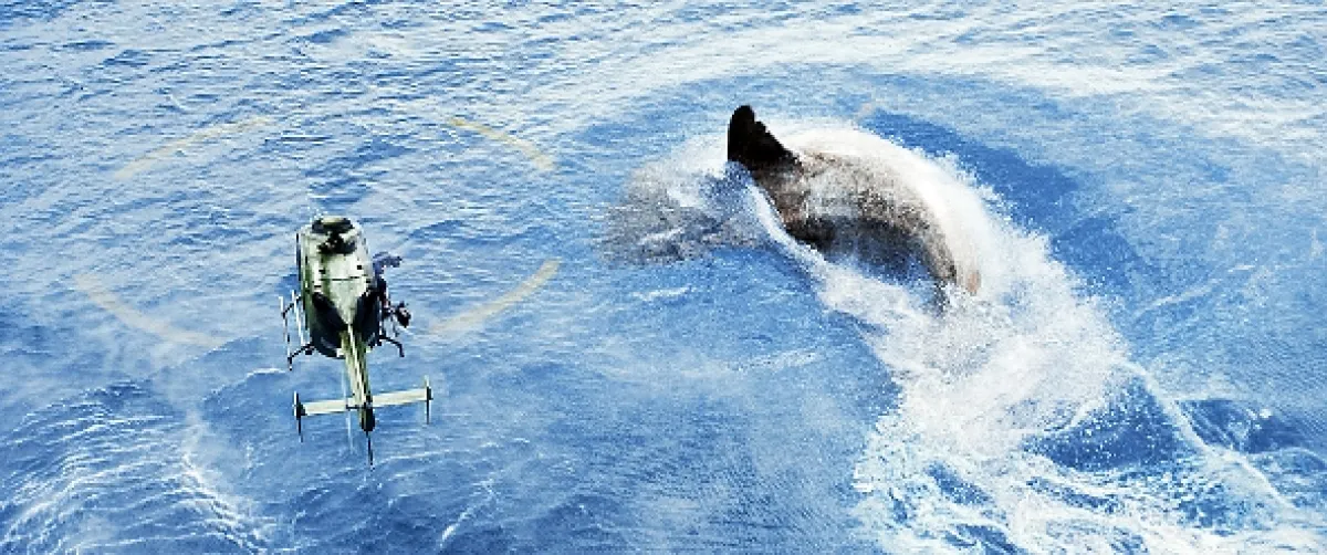 MEG: Monstrum z hlubin (The Meg), 2018 - fotogaléria