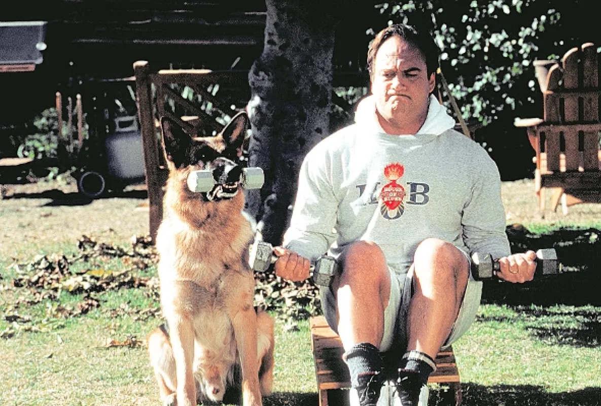 K-9 2: Můj přítel se studeným čumákem (K-911), 1999 - fotogaléria