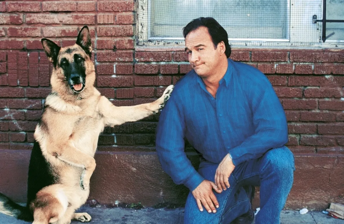 K-9 2: Můj přítel se studeným čumákem (K-911), 1999 - fotogaléria