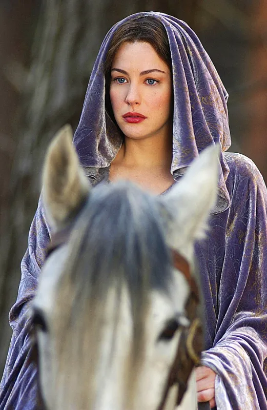 Pán prsteňov: Návrat kráľa (The Lord of the Rings: The Return of the King), 2003 - fotogaléria