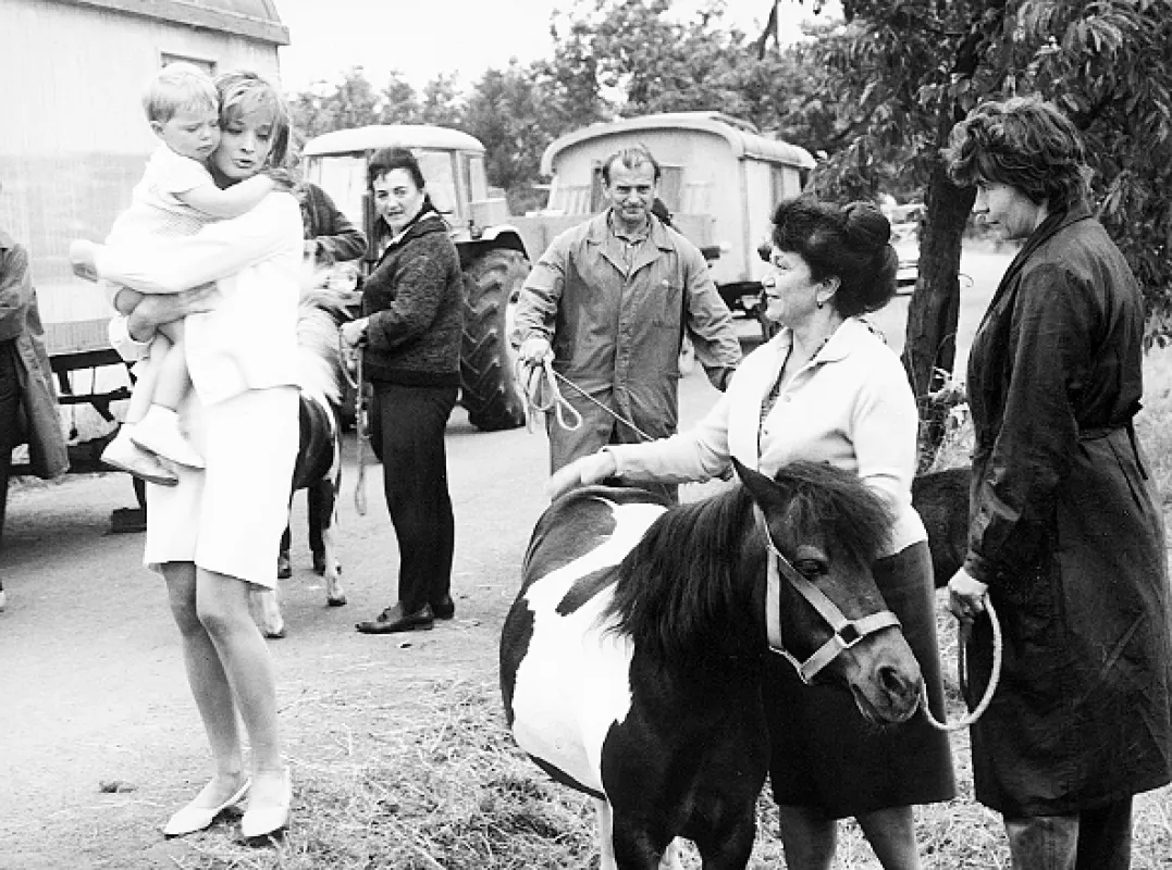 Návrat ztraceného syna, 1966 - fotogaléria