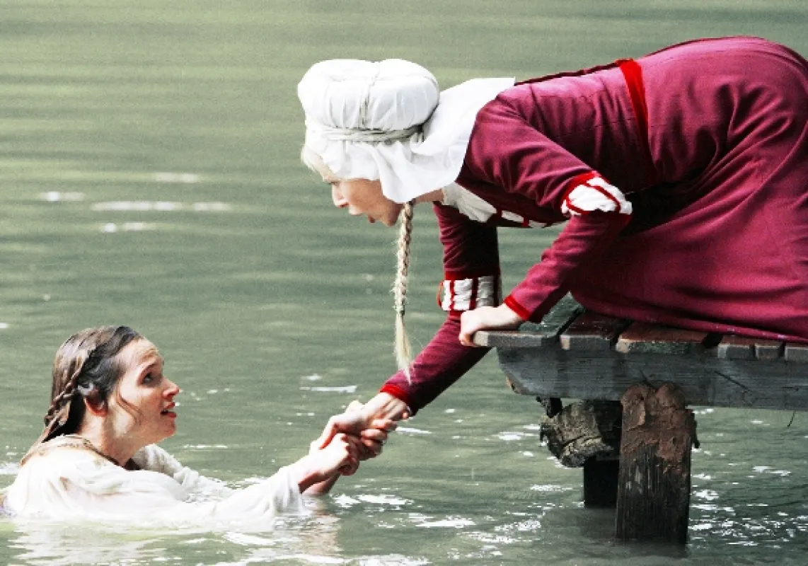 Rozprávky bratov Grimmovcov: Husiarka, 2008 - fotogaléria