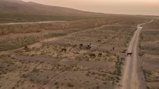 Podivuhodný Dlhý múr