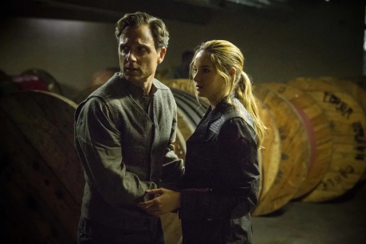 Divergencia (Divergent), 2014 - fotogaléria