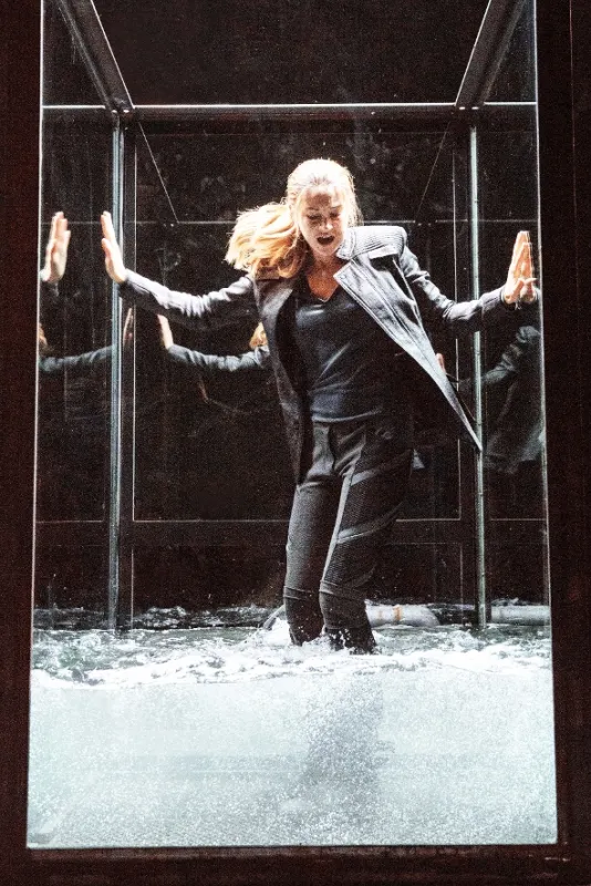 Divergencia (Divergent), 2014 - fotogaléria