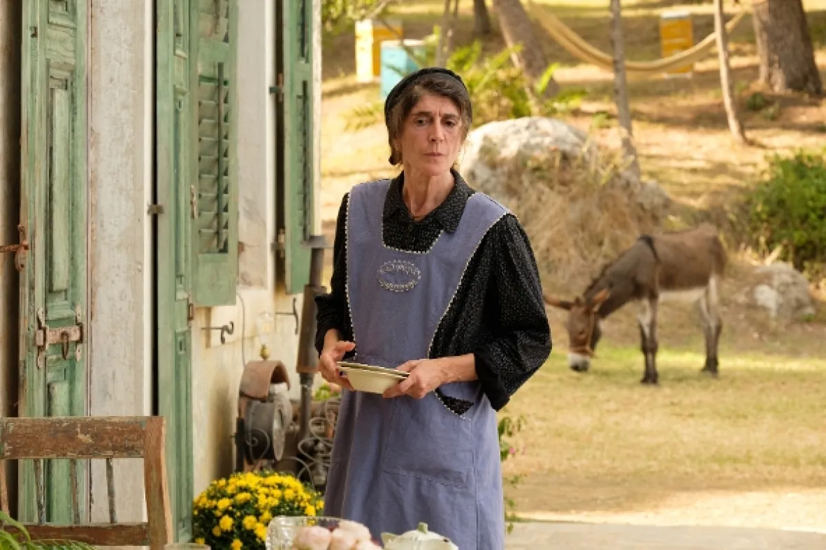 Durrellovci, 2019 - fotogaléria