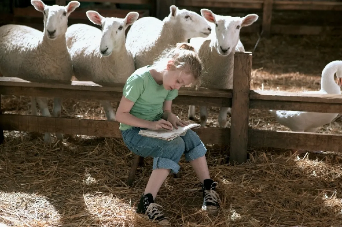 Šarlotina pavučinka (Charlotte’s Web), 2006 - fotogaléria