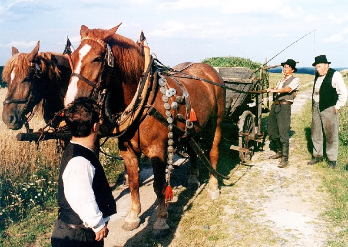 Je třeba zabít Sekala, 1998 - fotogaléria