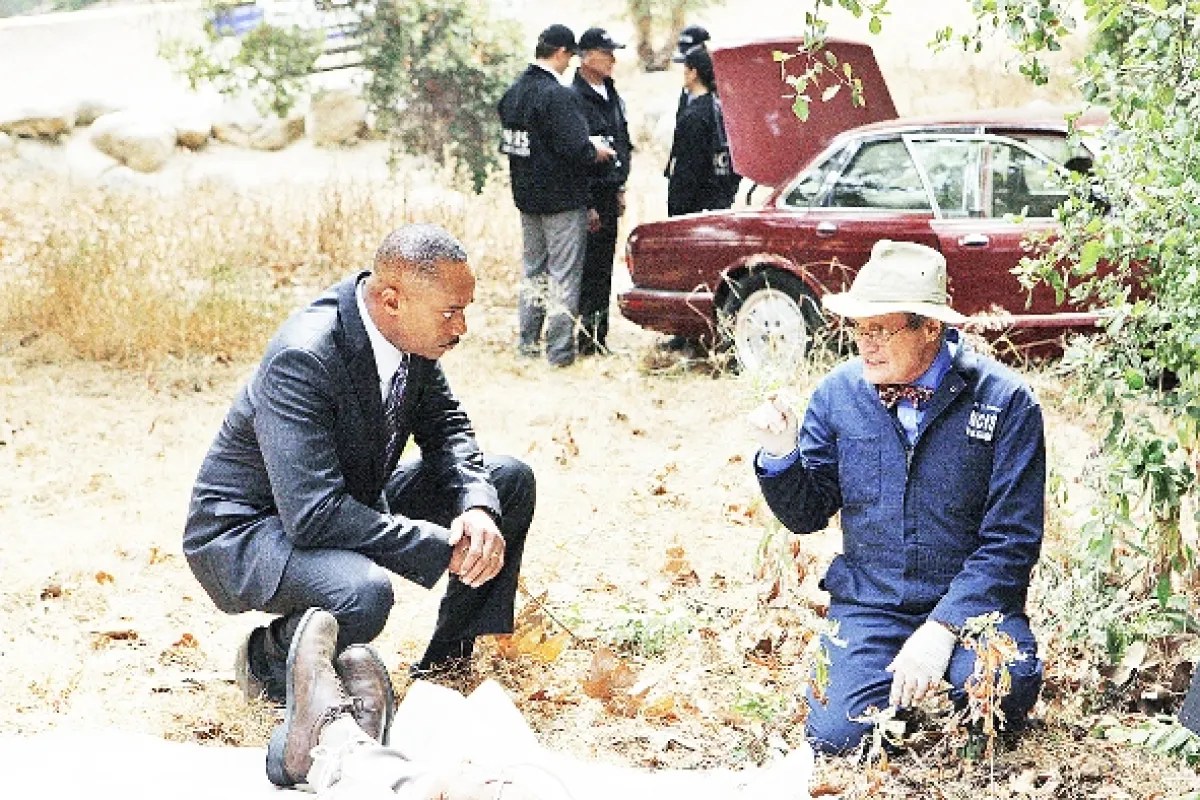 Námořní vyšetřovací služba, 2009 - fotogaléria