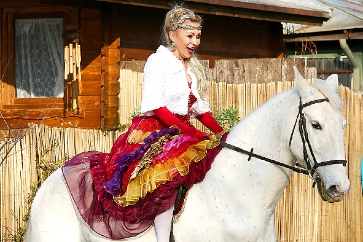Přístav, 2015 - fotogaléria