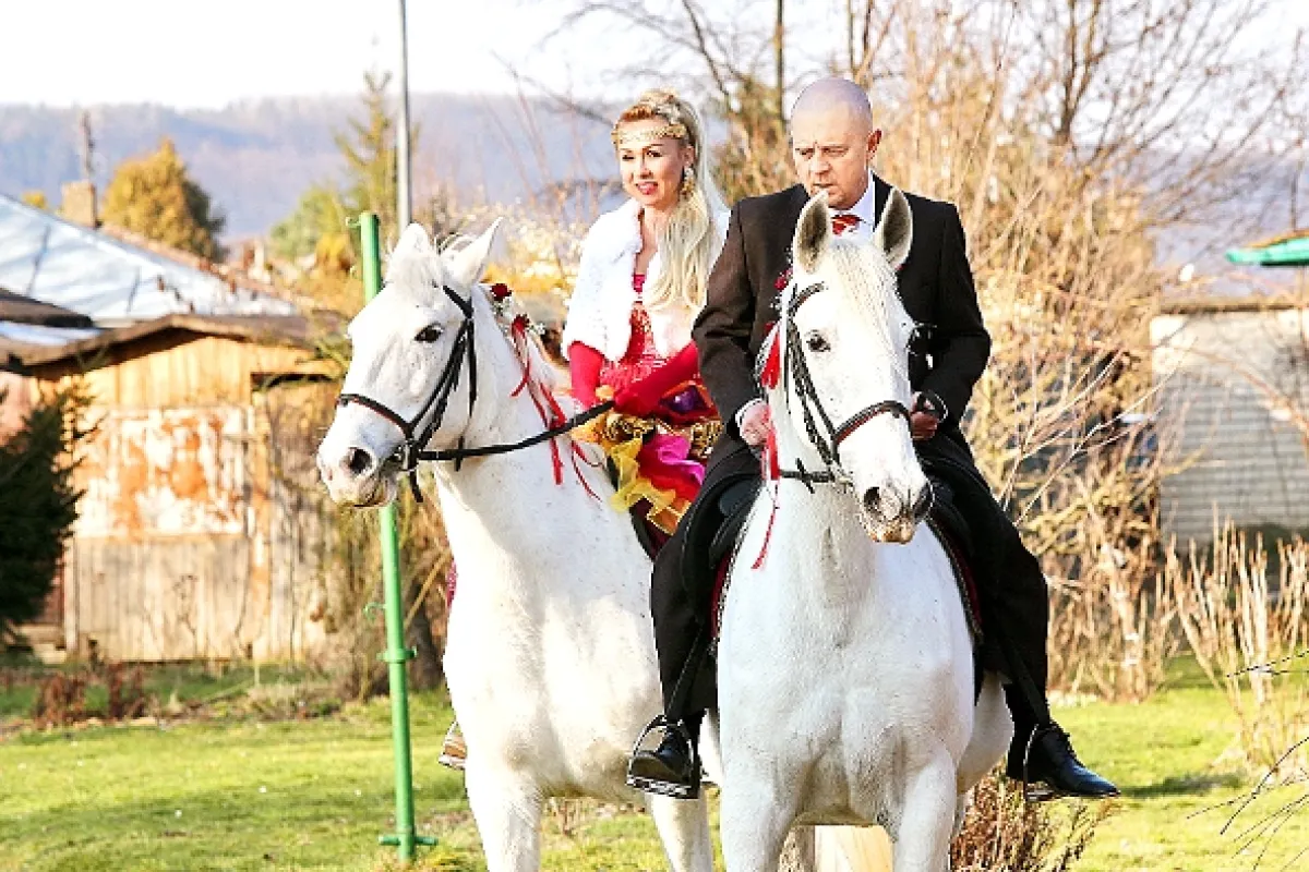 Přístav, 2015 - fotogaléria
