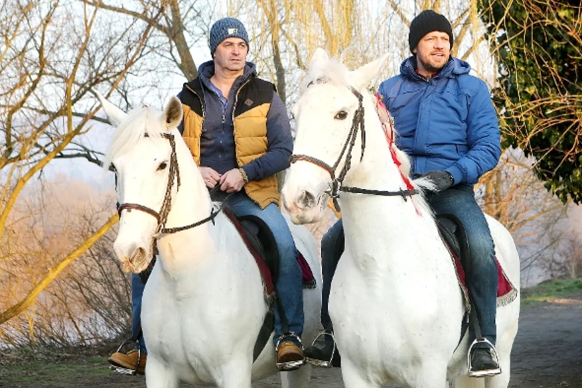 Přístav, 2015 - fotogaléria