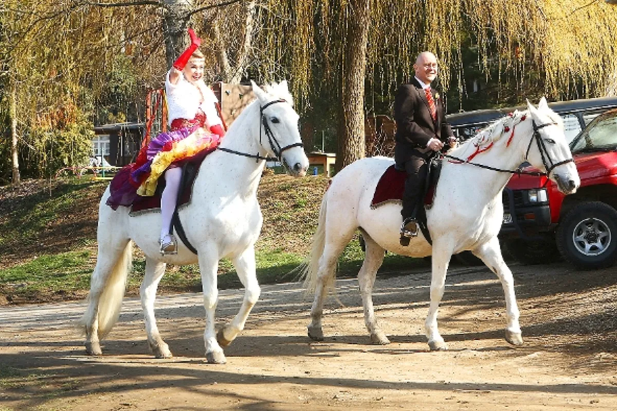 Přístav, 2015 - fotogaléria