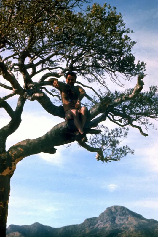 Hlava 22 (Catch - 22), 1970 - fotogaléria