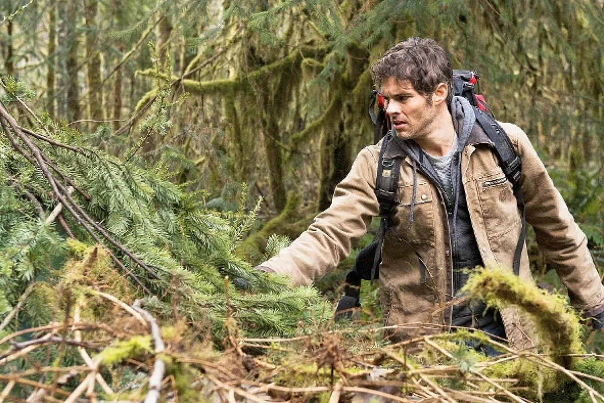 Grizly (Into the Grizzly Maze), 2015 - fotogaléria