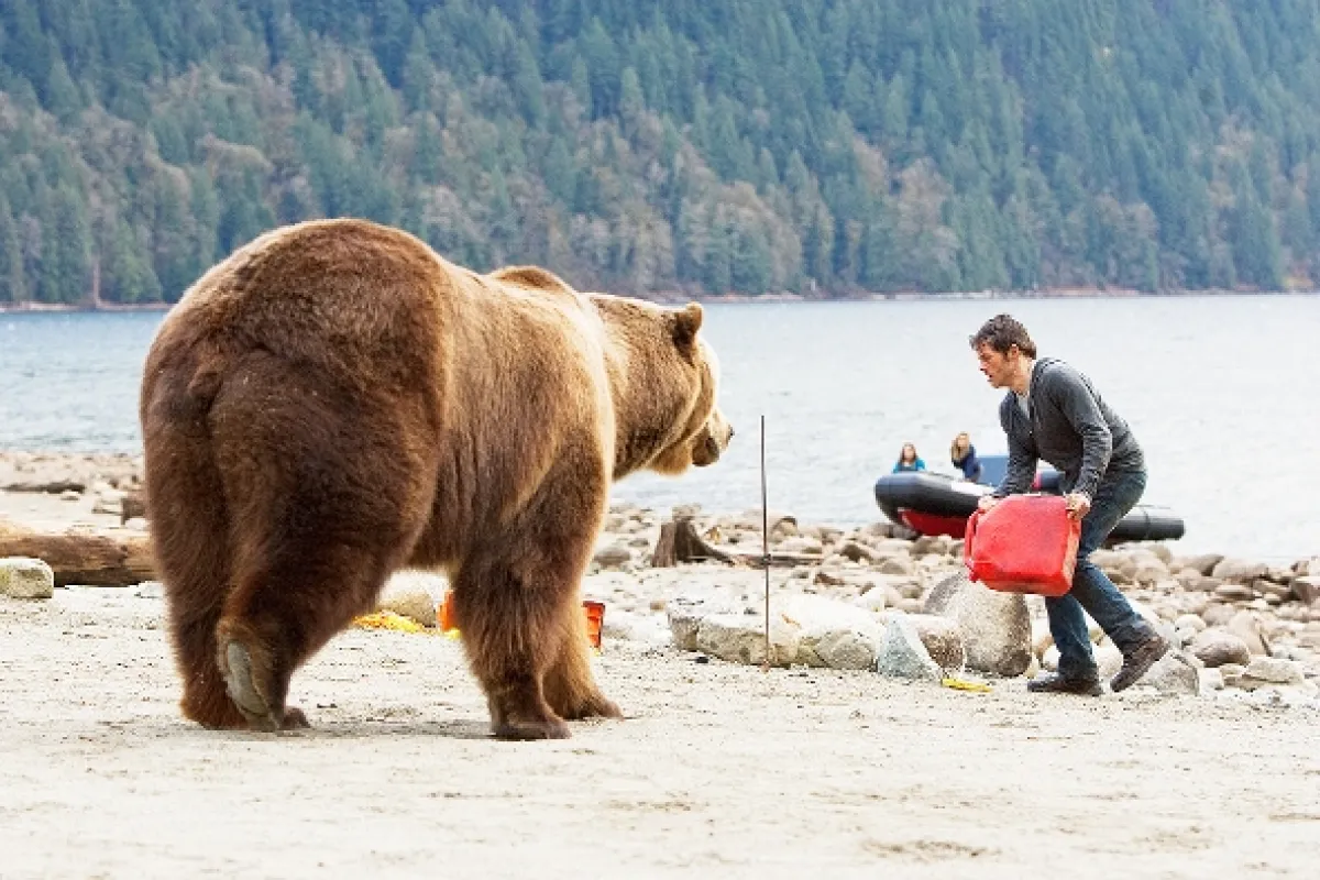 Grizly (Into the Grizzly Maze), 2015 - fotogaléria