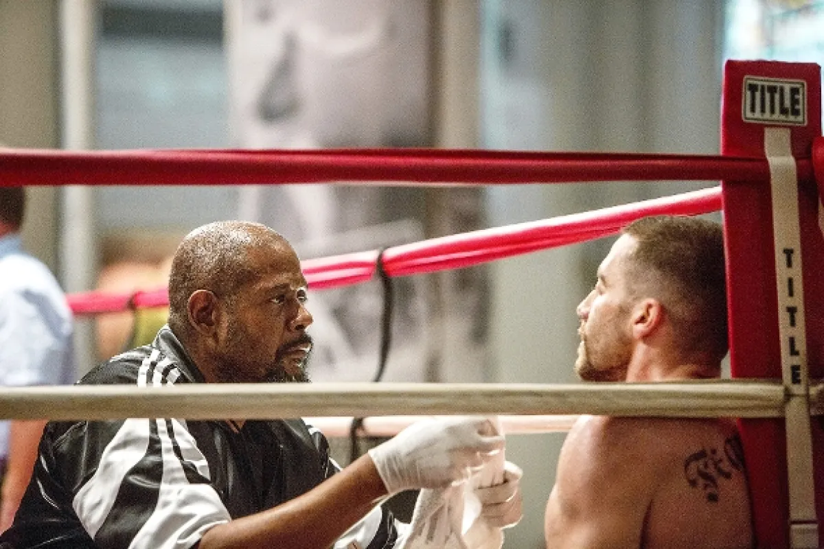 Bojovník (Southpaw), 2015 - fotogaléria