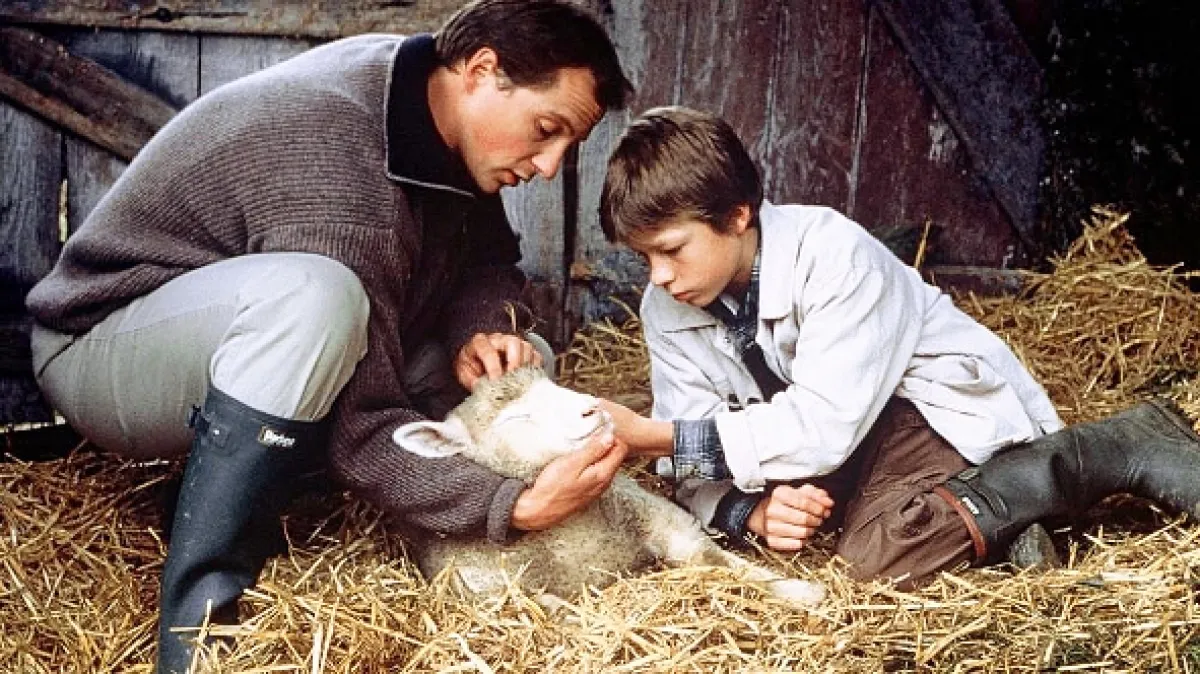 Rosamunde Pilcher: Vietor nádeje (Rosamunde Pilcher: Wind der Hoffnung), 1996 - fotogaléria