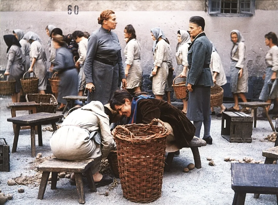 … a pozdravuji vlaštovky, 1972 - fotogaléria