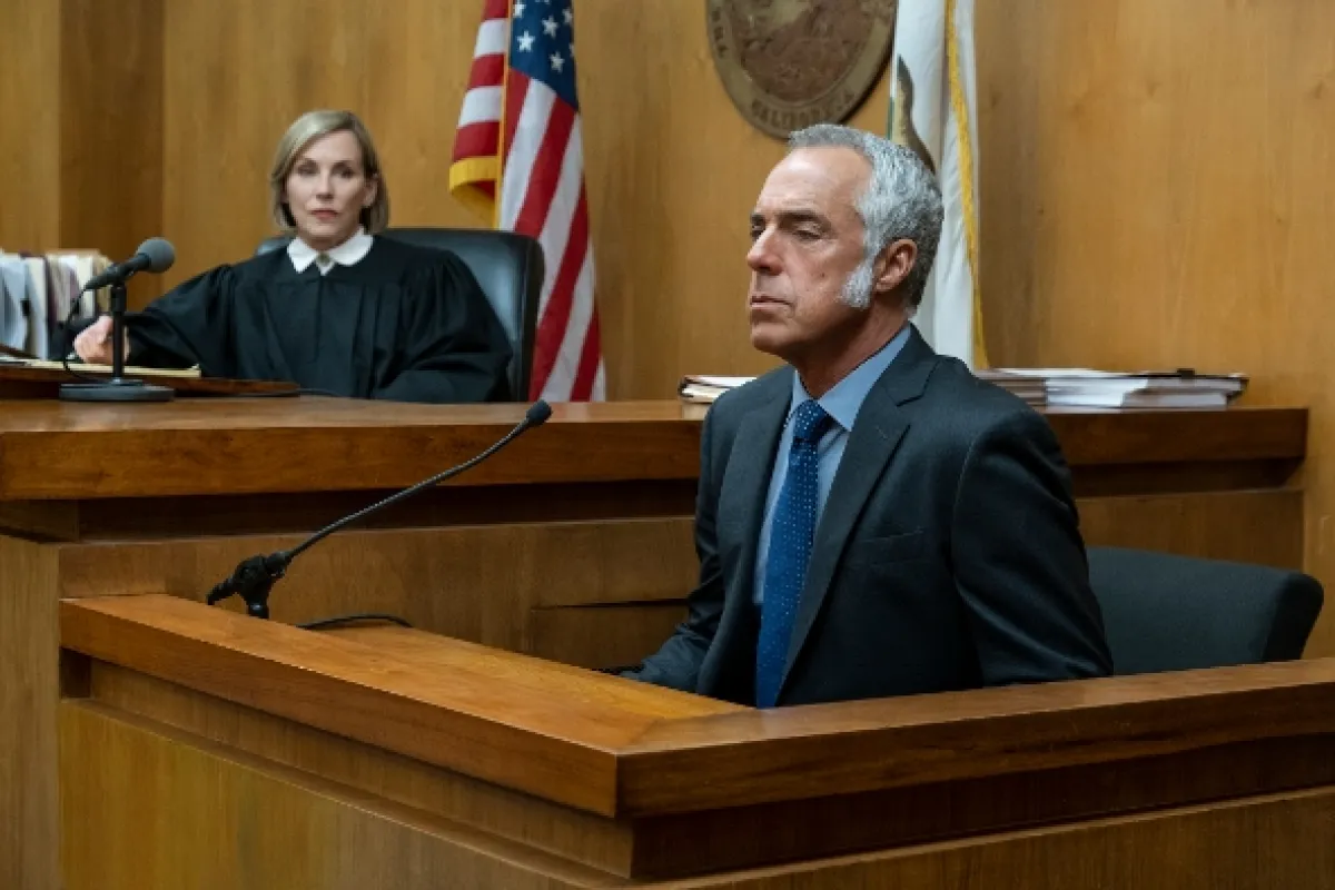 Bosch, 2019 - fotogaléria