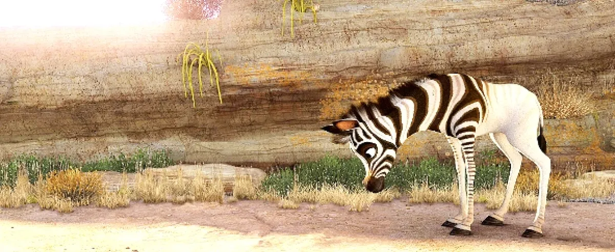 Khumba, 2013 - fotogaléria
