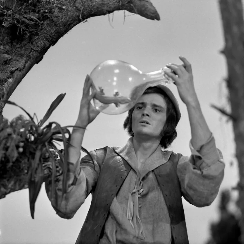 O duchovi vo fľaši, 1973 - fotogaléria