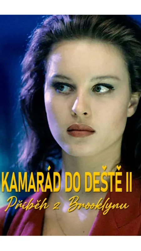 Kamarád do deště 2: Příběh z Brooklynu, 1992 - fotogaléria