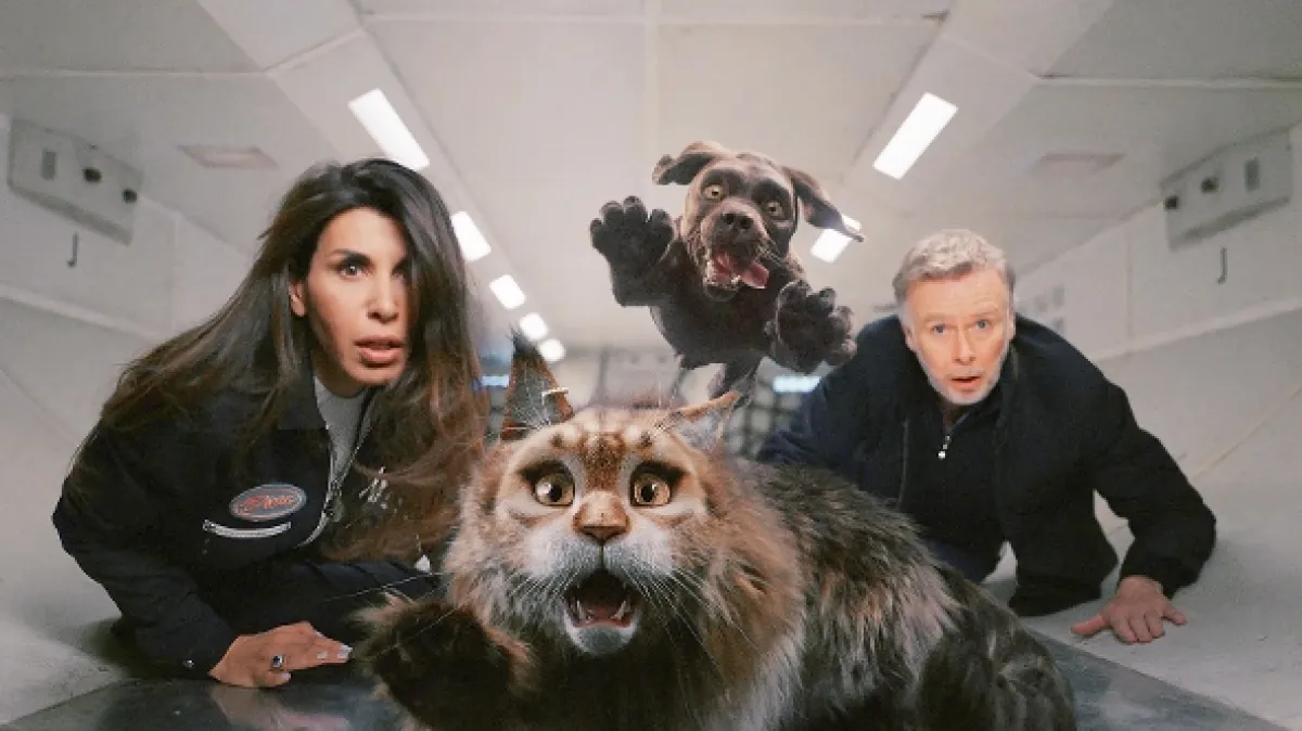 Mačka a pes: Bláznivé dobrodružstvo (Cat and Dog), 2024 - fotogaléria