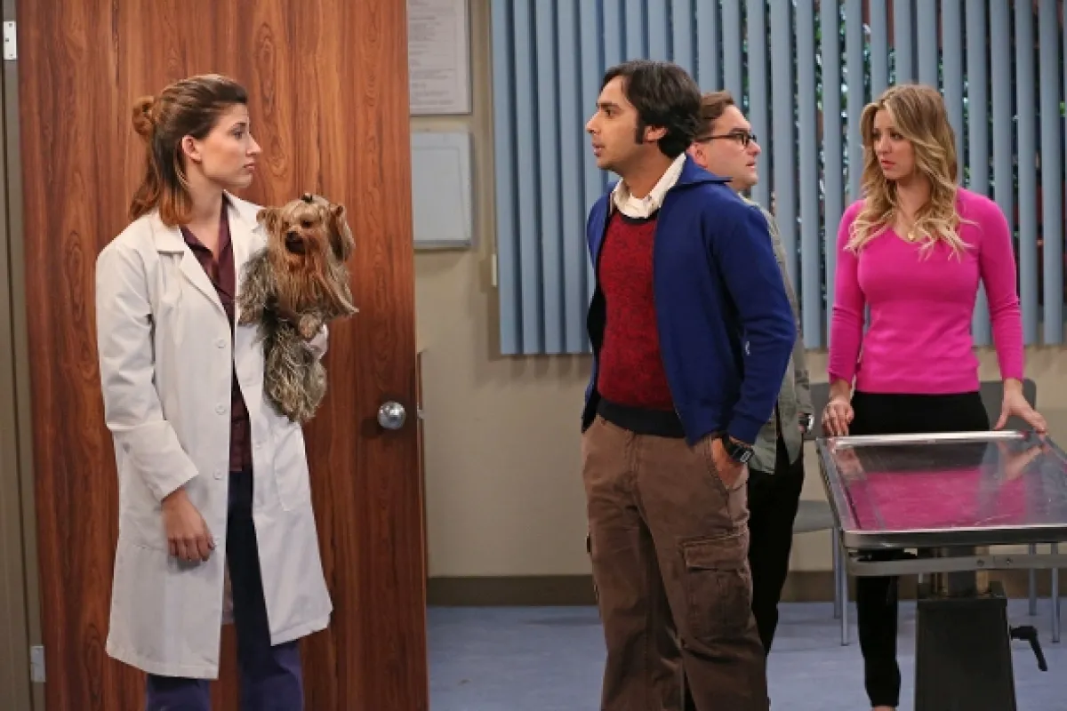 Teorie velkého třesku (Big Bang Theory, The VII), 2013 - fotogaléria
