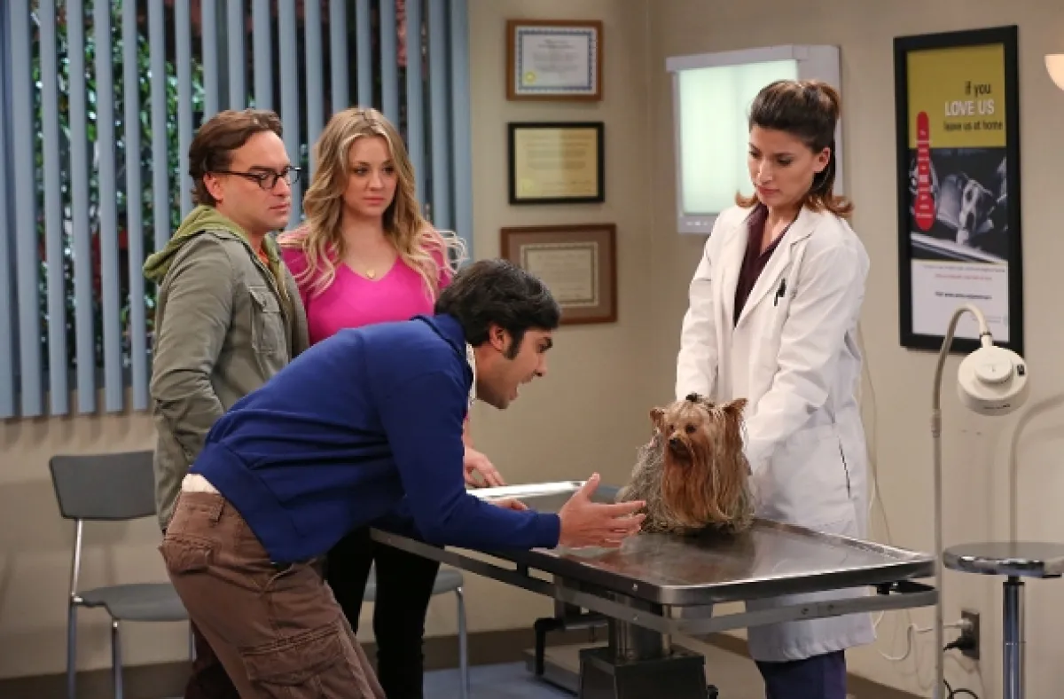 Teorie velkého třesku (Big Bang Theory, The VII), 2013 - fotogaléria