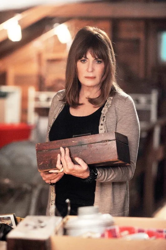 Tělo jako důkaz (Body of Proof III), 2013 - fotogaléria