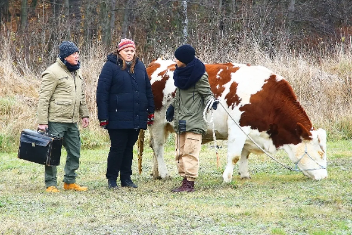 Slunečná, 2020 - fotogaléria