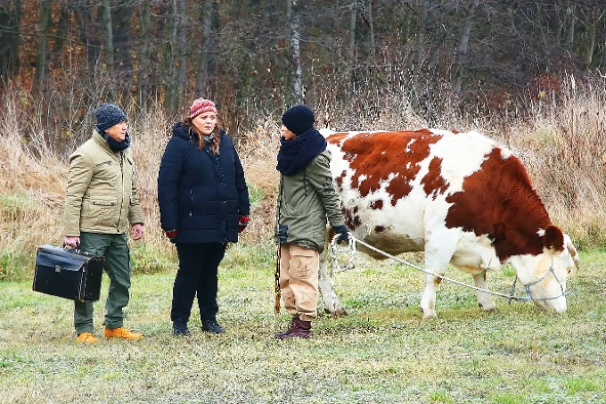 Slunečná, 2020 - fotogaléria