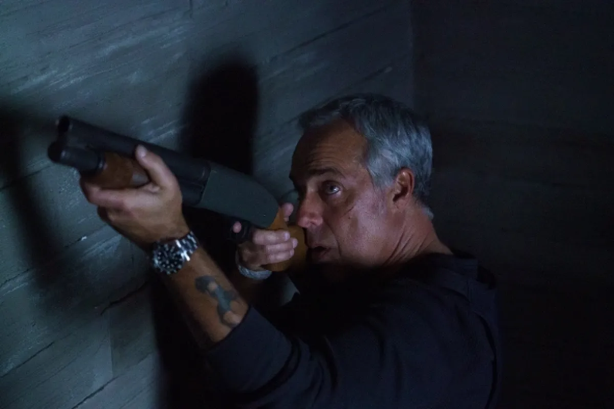 Bosch (BOSCH), 2019 - fotogaléria