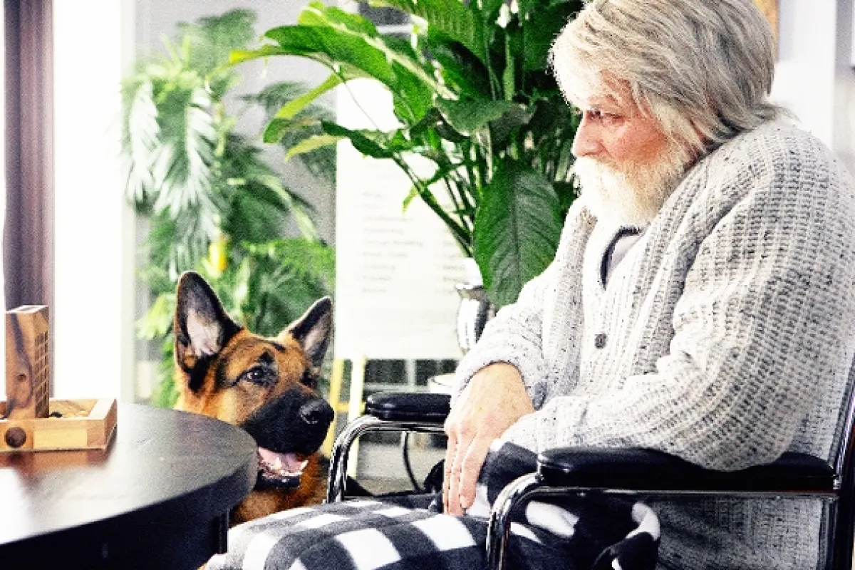 Hudson a Rex, 2019 - fotogaléria