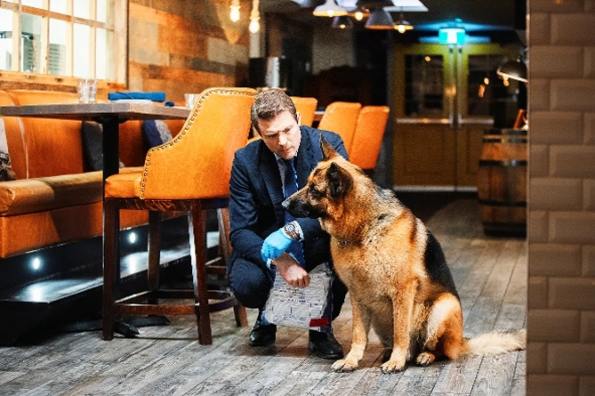 Hudson a Rex, 2019 - fotogaléria