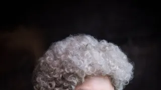 Mária Terézia