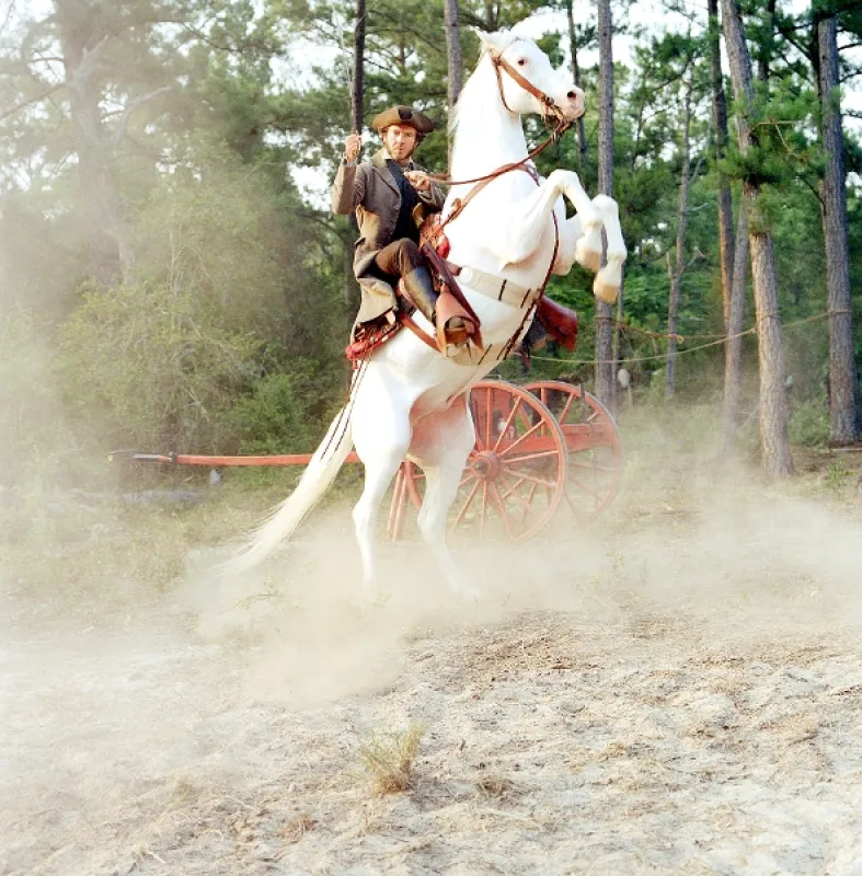 Pevnosť Alamo (The Alamo), 2004 - fotogaléria