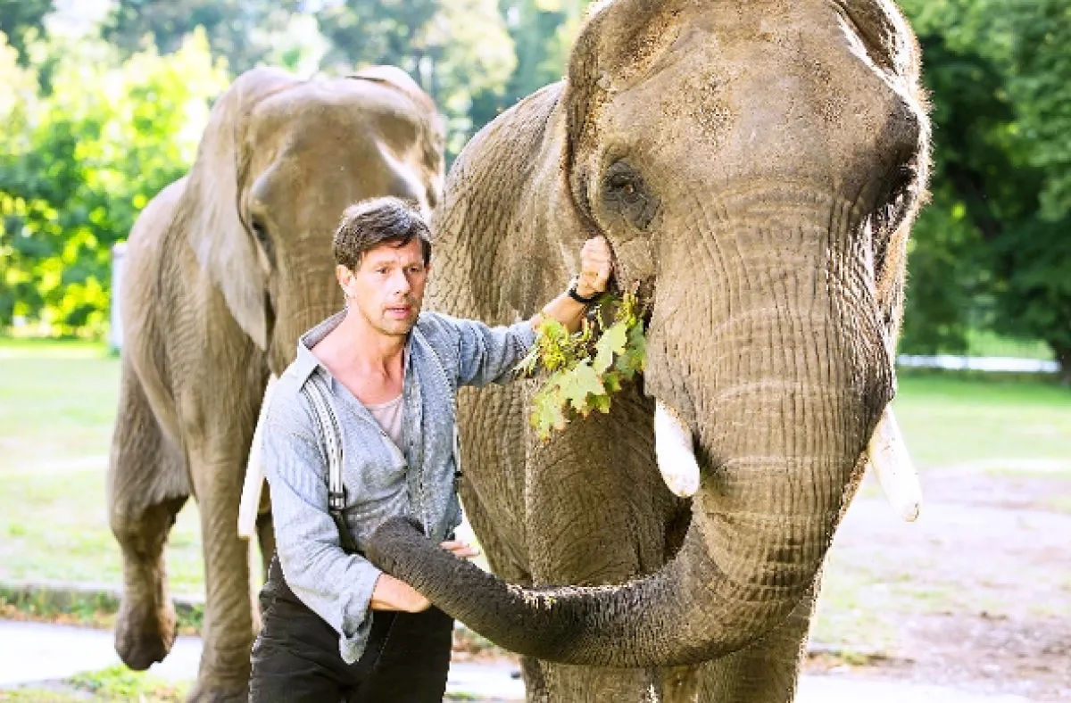 Úkryt v ZOO (The Zookeeper's Wife), 2017 - fotogaléria