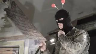 Hmyz