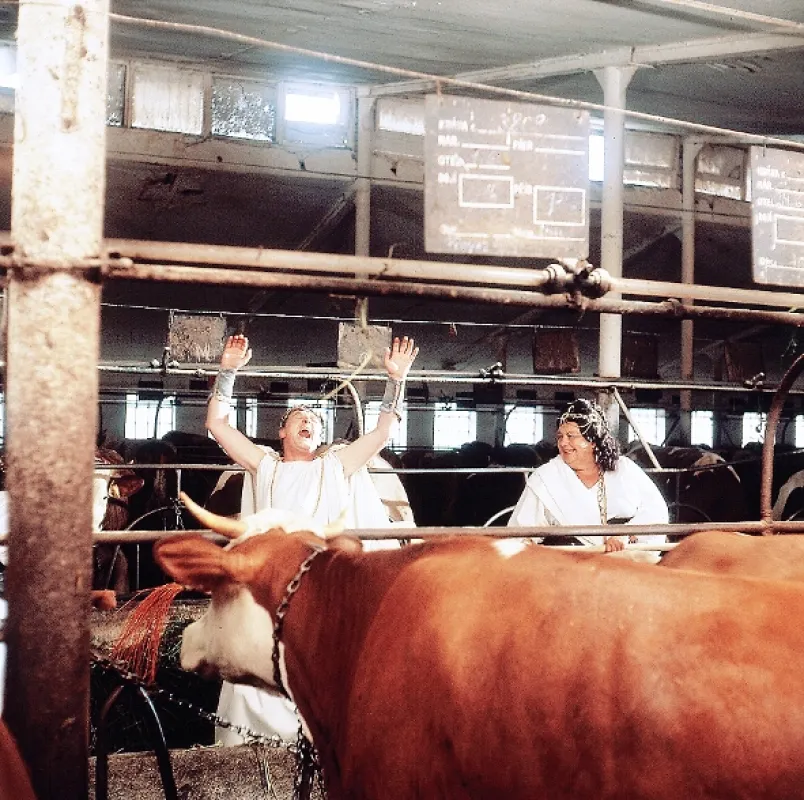Slnko, seno a pár faciek (Slunce, seno a pár facek), 1989 - fotogaléria