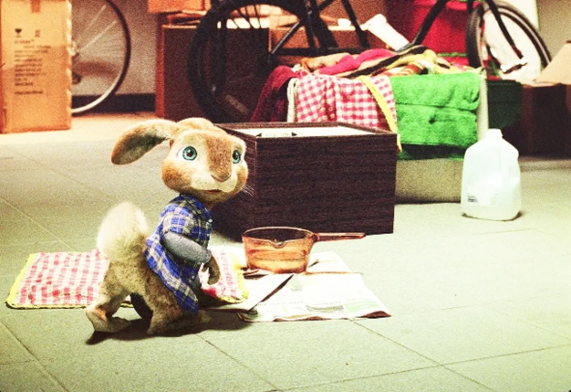 Hop, 2011 - fotogaléria