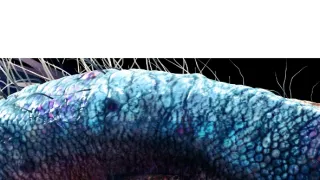 Ostrov dinosaurů