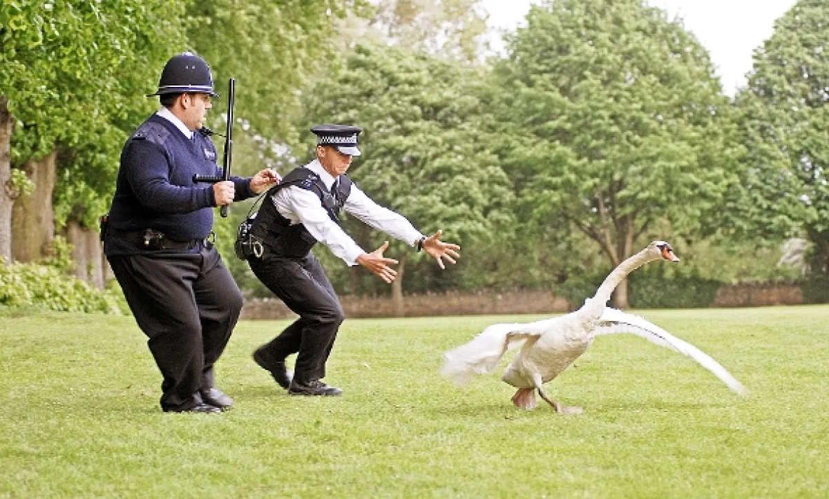 Jednotka příliš rychlého nasazení (Hot fuzz), 2007 - fotogaléria