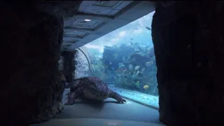 Aquarium of the Dead