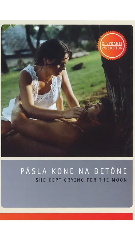 Pásla kone na betóne, 1982 - fotogaléria