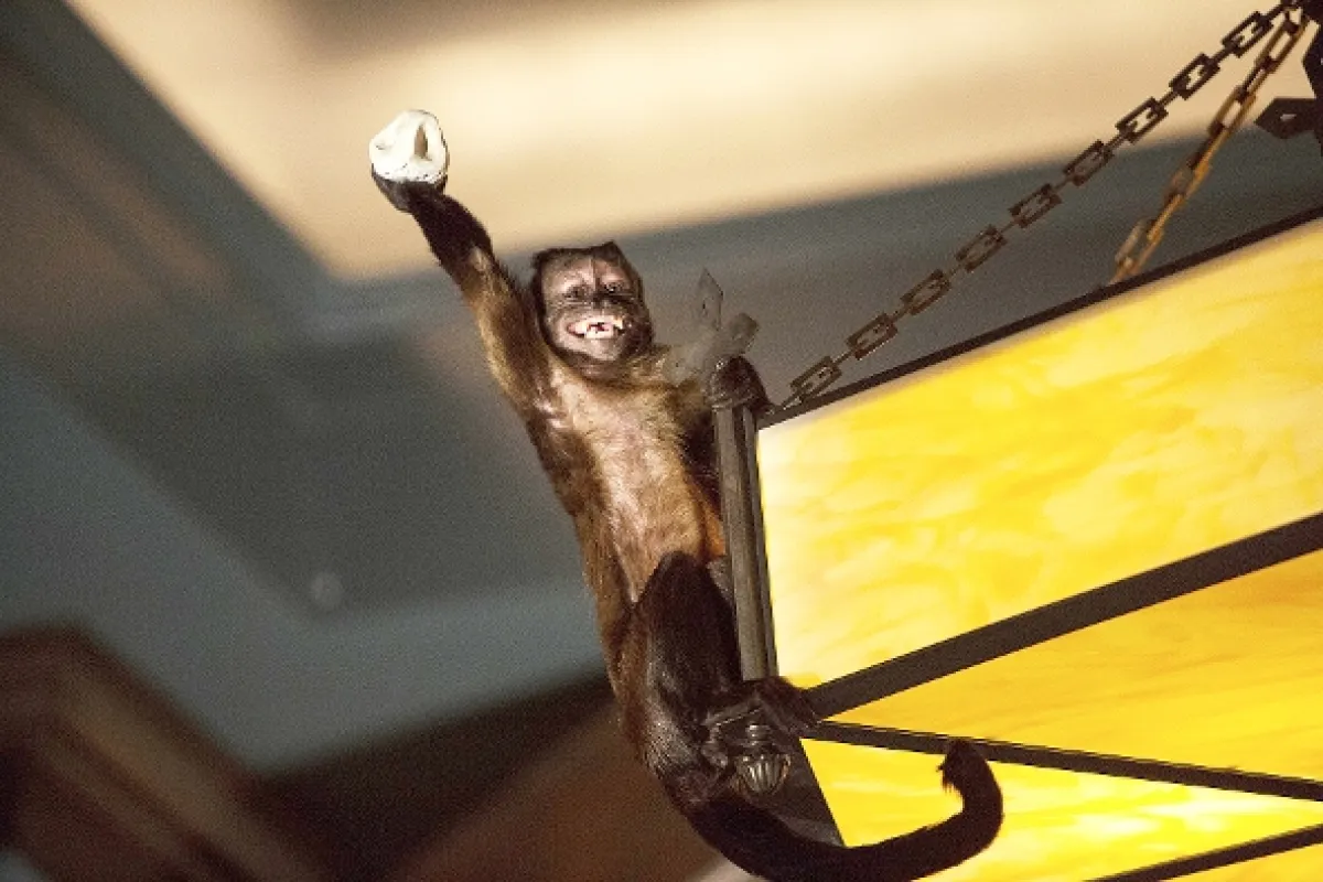 Noc v muzeu: Tajemství hrobky (Night at the Museum: Secret of the Tomb), 2014 - fotogaléria